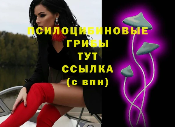 хмурый Покачи
