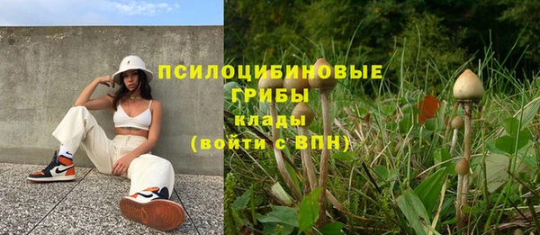 MESCALINE Покров