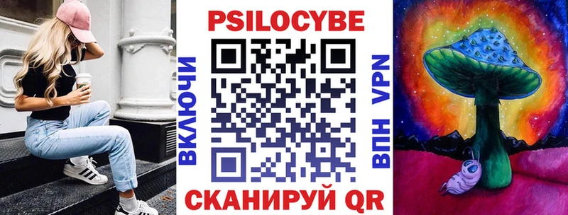 Галлюциногенные грибы Psilocybe  Пугачёв 